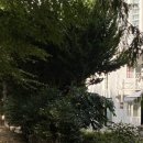 금곡대로주유소 | 부산 브라이덜샤워 파티룸 공간위주 내돈내산 후기