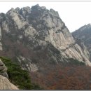 여우굴 이미지