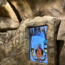 대전선사박물관 | 대전선사박물관 아이와 방문 후기. 대전어린이회관 가기 전 딱!