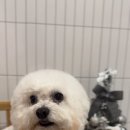다이아나미용실 이미지