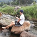 지리산녹차별펜션 이미지