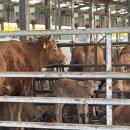 진웅농장 이미지