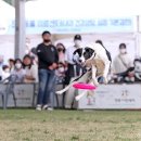 오수의견관광지 이미지