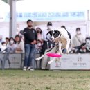 자유롭게 신나게, 맘껏 ‘뛰어노시개!’ 임실 오수의견관광지 이미지