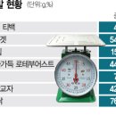 대신양은 이미지
