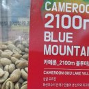 위드커피앤티