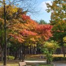 일동라스베가스 공원 네이버블로그