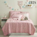 아이리스 이미지