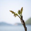 계절반찬 이미지