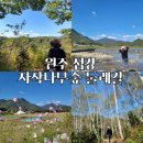 평우복지정비센터 원주점 | 원주섬강 자작나무숲 둘레길 "같이 걷자" 2022년 원주 산소길 걷기 행사 안내
