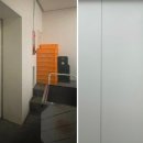 퍼피라떼 이미지
