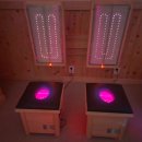 펄라이트존(ZONE) 이미지