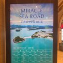 진도 쏠비치 아침 산책 추천, 소삼도 신비의 바닷길
