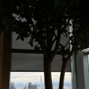 역삼-1545 | 조선팰리스뷔페 호텔뷔페추천 조선팰리스 콘스탄스