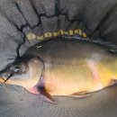 봉낚시터 이미지