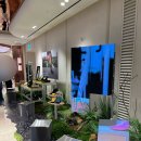스파이더신세계백화점 - 하남시 미사대로 750 | 비브람 파이브핑거스 신세계강남점 팝업스토어 후기, 사이즈 추천