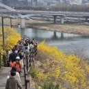 시민의숲산책로1-21 이미지