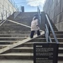 정난주마리아묘? | [제주한달살이 Day-23] 유배지의 시선으로 바라 본 제주(김정희 유배지, 정난주의 묘)