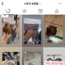 계남제 이미지