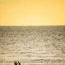 노을빛 풍경 이미지