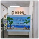 괜찮아 | [민락동논술] 거북이논술 이벤트수업 후기 "느려도 괜찮아,"