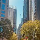 강남예일보습어학원 | 호주 시드니 어학연수 🇦🇺 | 호주에서 살아남기(2)