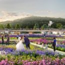 ㈜도화엔지니어링 이미지