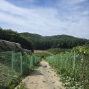 하늘1 태양광발전소 | 여주 산북면 후리 태양광발전소 4,500평 예초작업 다녀온 하루