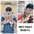 삼화4길 6-1 이미지