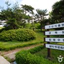 수목원 Daum카페