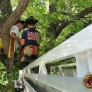 가방위에 고양이 이미지