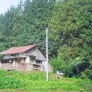 리틀포레스트 이미지