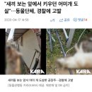 "새끼 보는 앞에서 키우던 어미개 도살"…동물단체, 경찰에 고발 이미지