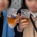 스트레스 타파 뮤직난타 | [10월_2] 밑동이 휘어진 나무는 그대로 휘어진 채 자란다