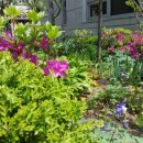 경희유치원 앞 이미지