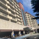 충주애견동반숙소 켄싱턴리조트충주 가성비최고숙소(강아지천국 켄싱턴리조트 후기)