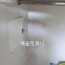 디알에프(DRF) 이미지