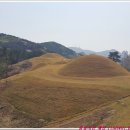 동수탕 Daum카페