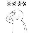 에덴애견훈련소 이미지