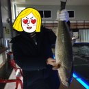 후니 실내낚시터 이미지