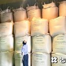 농협양곡창고 앞 이미지