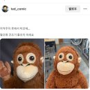 워시팡팡 네이버블로그