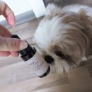 올리브덴탈 이미지