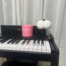 집안 | 집안 냄새 제거 탈취제 만듬 솔직 후기