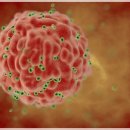 백년요양병원 이미지