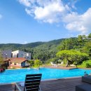 라고비스타 이미지