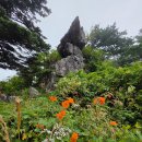 광복절「지리산」.. 산오이풀을 찾아서 이미지