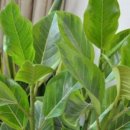 어른이 읽는 그림책 이미지