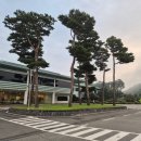 솔모로골프장 | 여주 솔모로cc 부대시설 정보 및 라운딩 후기, 첫 라운딩 시 골프장 이용방법