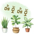 나무너머꿈